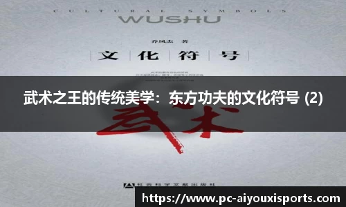 武术之王的传统美学：东方功夫的文化符号 (2)